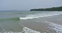 鹿児島県出水郡長島町の有限会社小浜海産のホームページをご覧いただき、誠に有難うございます。