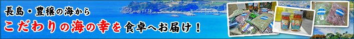 鹿児島県 長島のこだわりの海の幸をお届けします。|有限会社小浜海産　長島・豊穣の海からこだわりの海の幸を食卓へお届け！